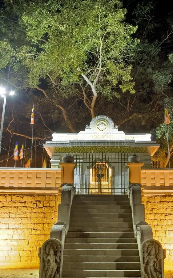 Sri Maha Bodhi