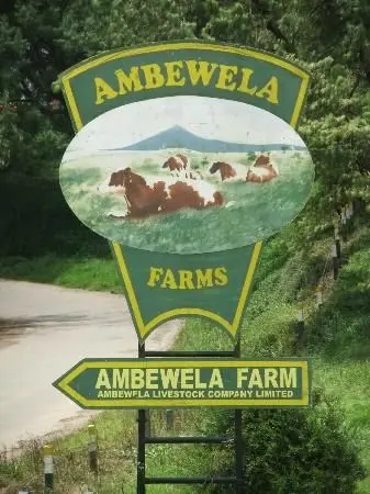 Ambewela Farm