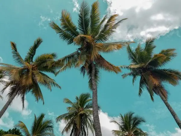 Bentota