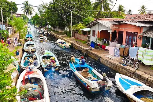 Dutch Canal