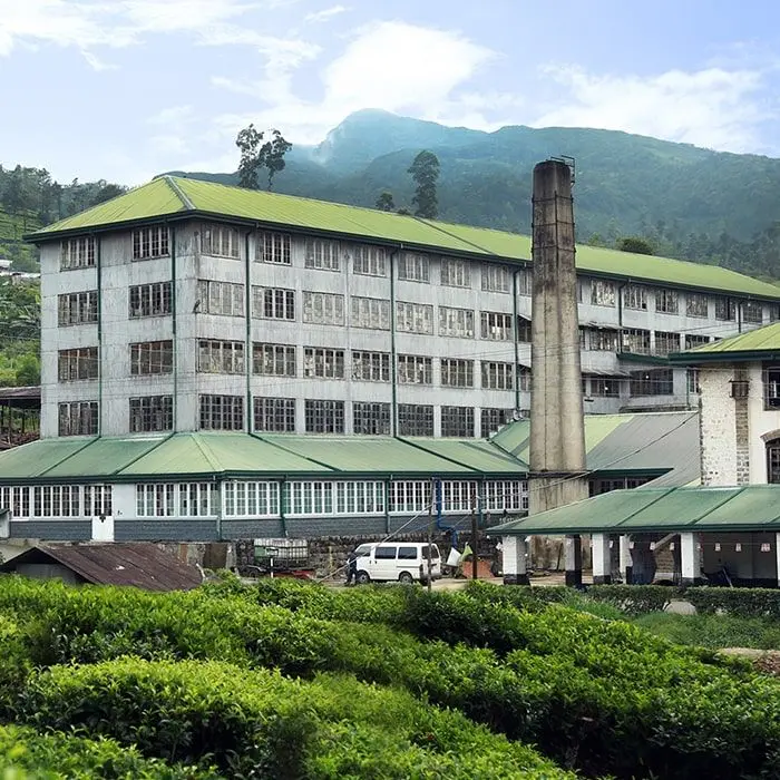 Tea Factories
