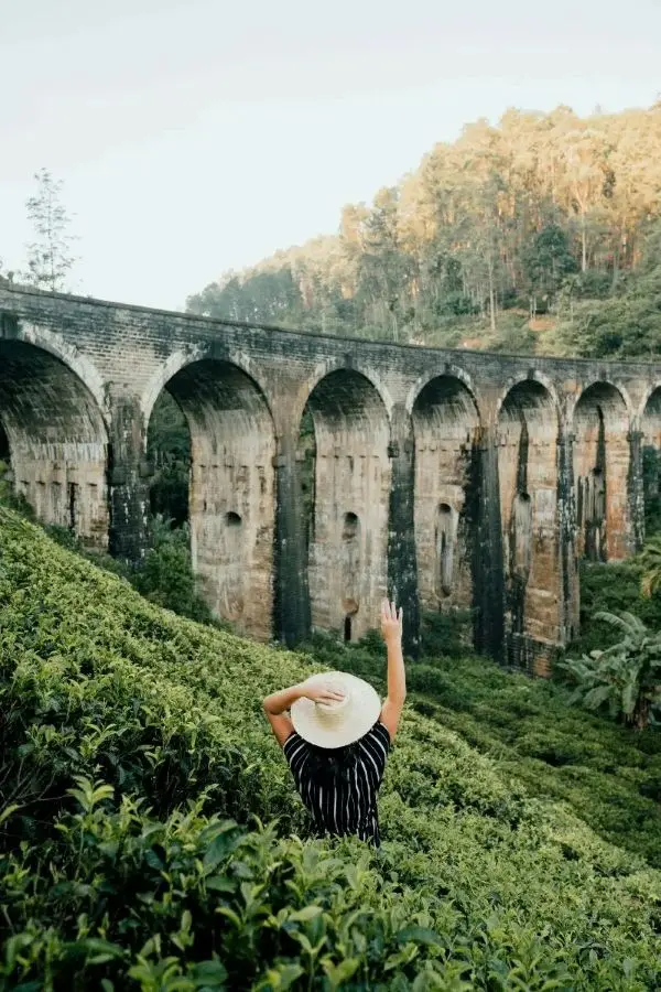 Sri Lanka Tea Plantation